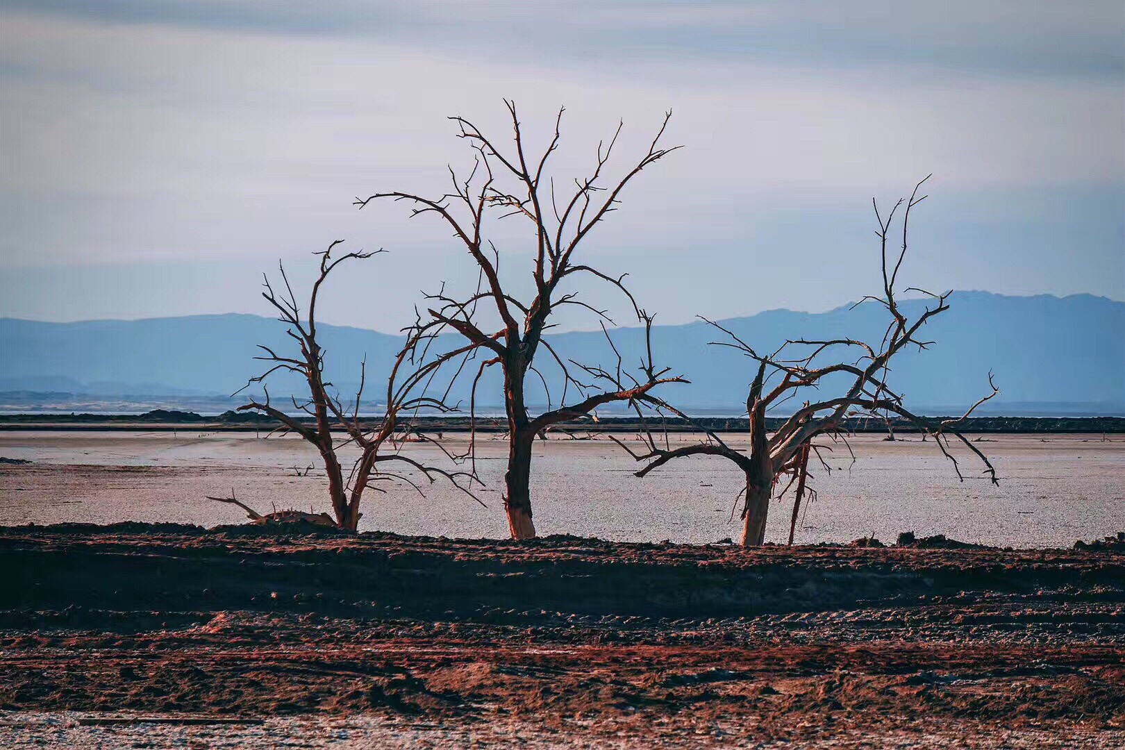 ソルトン湖 リバーサイド の旅行レビュー Trip Comトラベルガイド