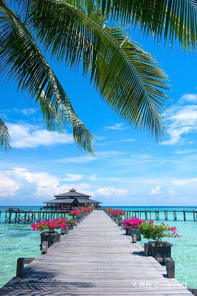 New Delhi to Sandakan Flights
