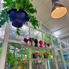 L'Amour cafe User Photo