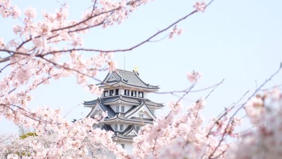 Sunomata-ichiyajo-Castle (Ogaki City Sunomata Historical Museum)