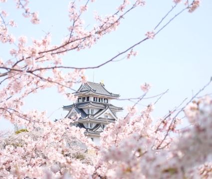 Sunomata-ichiyajo-Castle (Ogaki City Sunomata Historical Museum)