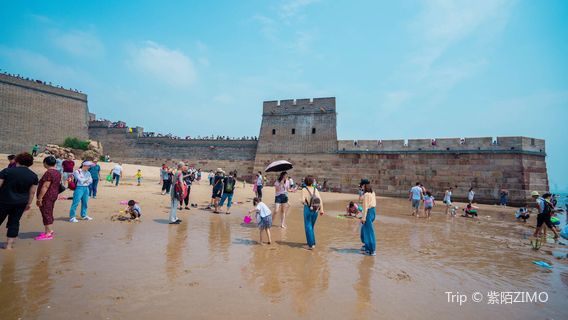 Beach Treasure Hunting in Qinhuangdao