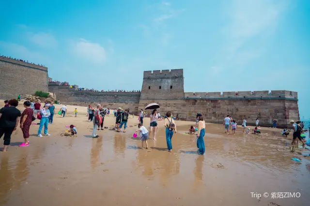 Clam Digging in Qinhuangdao