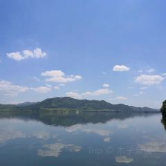 张老二扒鸭 User Photo