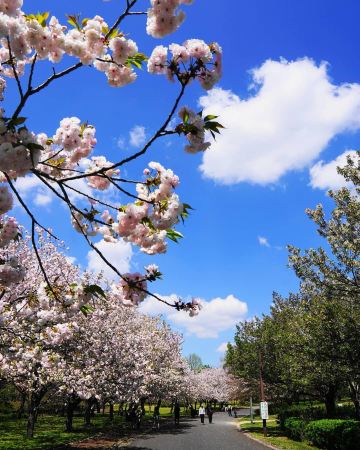 Chiba Park