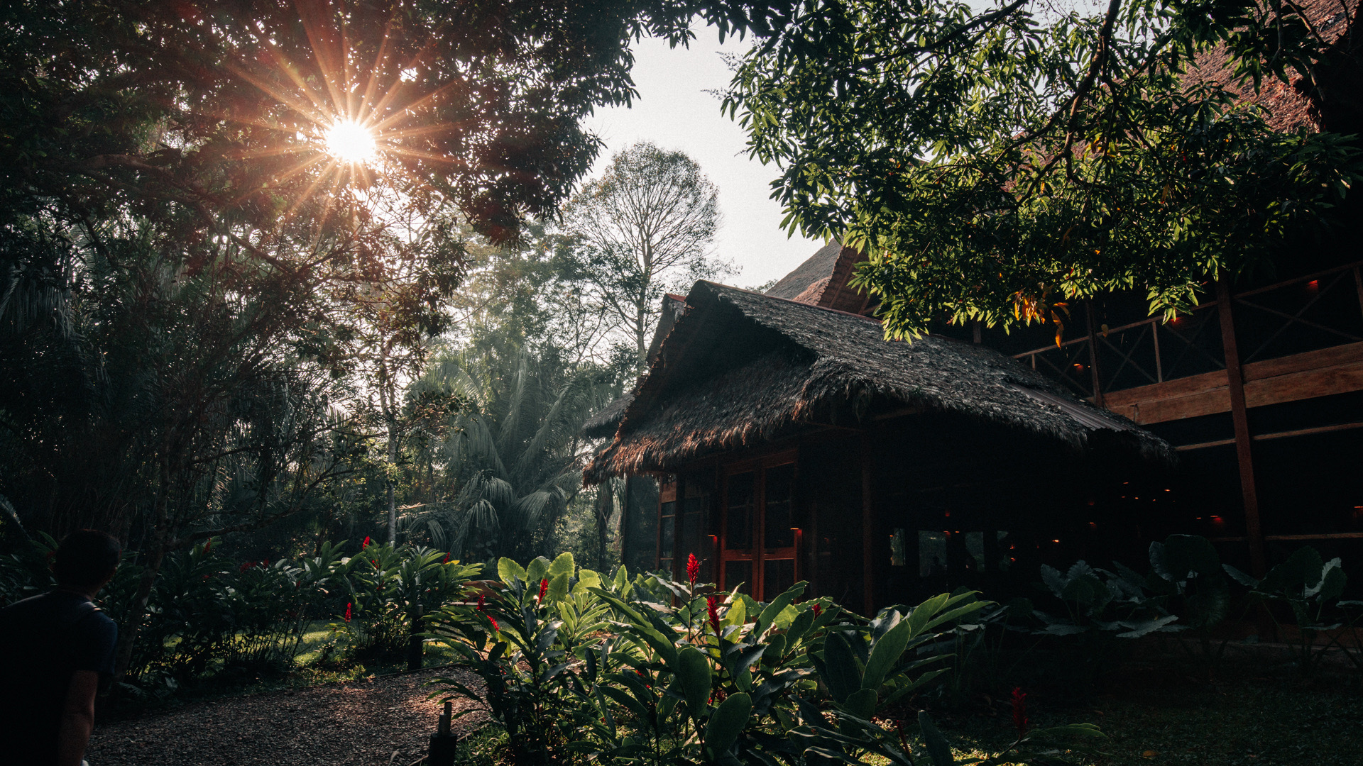 Madre de Dios 2023 Top Things to Do Madre de Dios Travel Guides Top