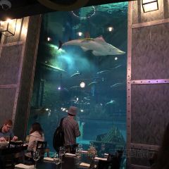 Cargo Hold Restaurant User Photo