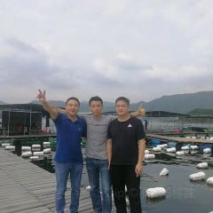 桂港海鮮城張用戶圖片