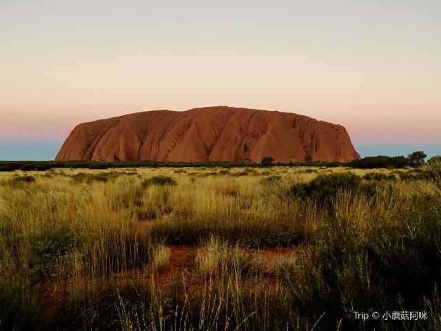 Uluru Car Sunset Viewing Area