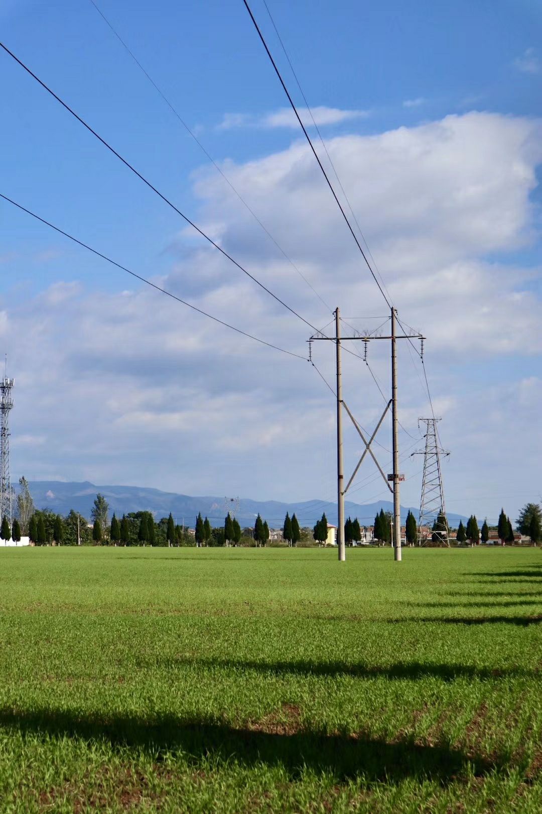 Baoji 2023 Top Things to Do Baoji Travel Guides Top