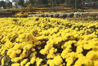 舌尖上的中国毛豆腐拍摄点 User Photo