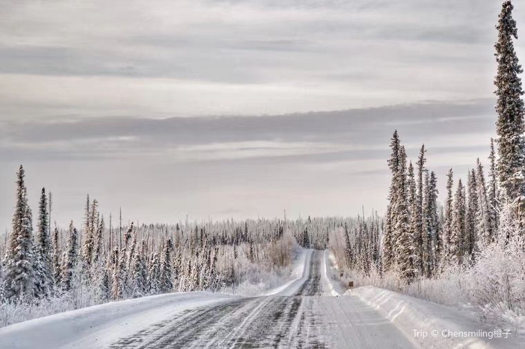 Best time to visit Alaska in winter