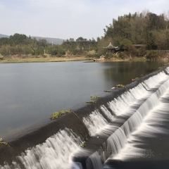 武義縣一水間農家樂飯店張用戶圖片