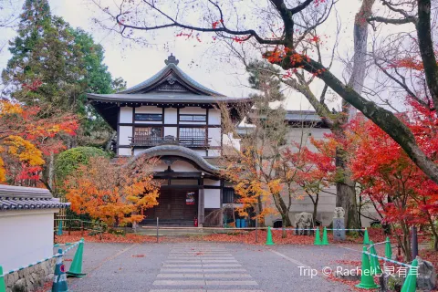 Tetsugaku No Michi