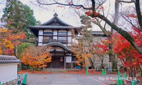Tetsugaku No Michi