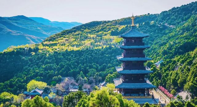 태산(타이산)