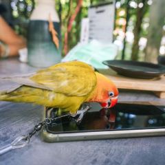 Fernpresso Cafe User Photo