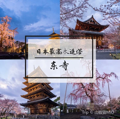 日本最高木造塔 東寺每次坐新幹線從東京到大阪 一看到東寺的 Trip Com 京都