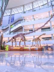 Shanghai Natural History Museum (Jing'an)