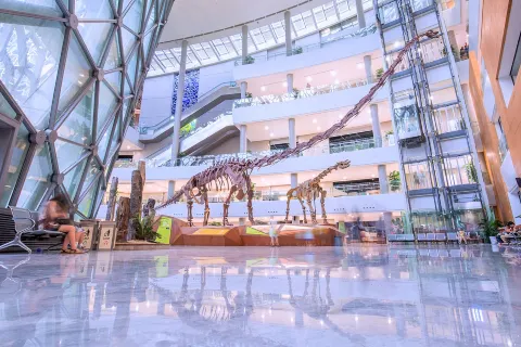 Shanghai Natural History Museum