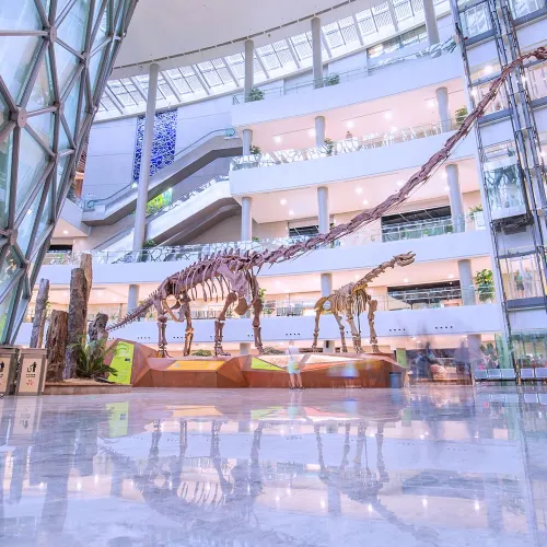 상하이 자연 박물관
