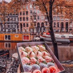 Polaberry User Photo