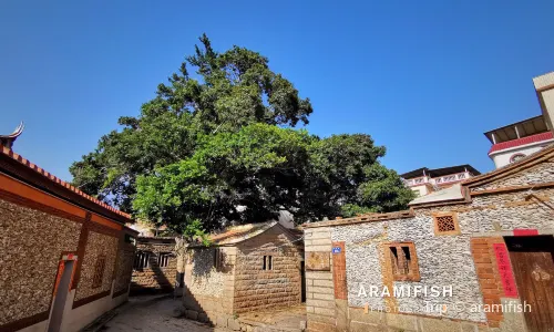 Xunpu Village
