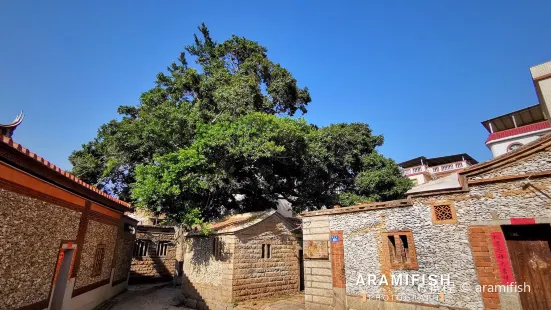 Xunpu Village