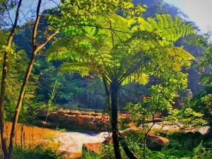 Popular Fall Viewing Attractions in Chishui