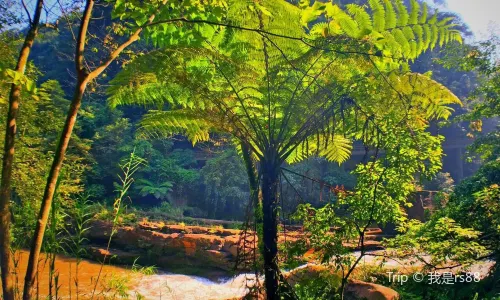 Chishui Danxia Tourist Area · Great Waterfall