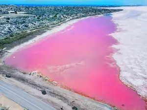 Pink Lake