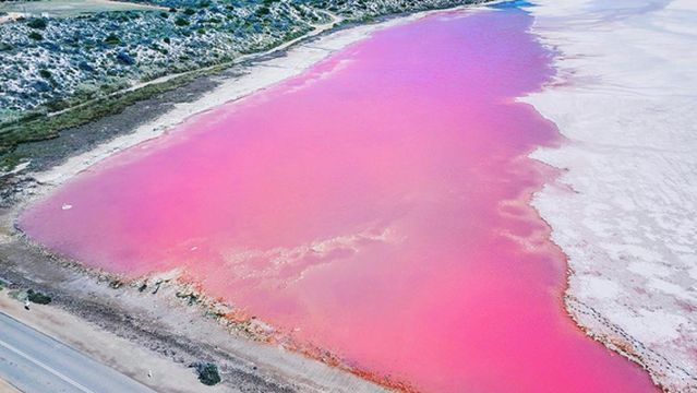 Pink Lake