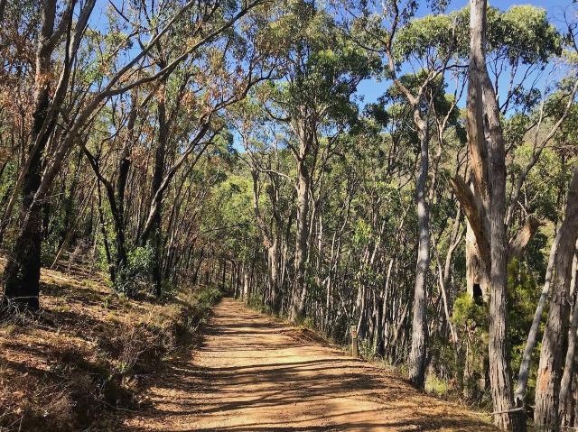 Cleland Conservation Park