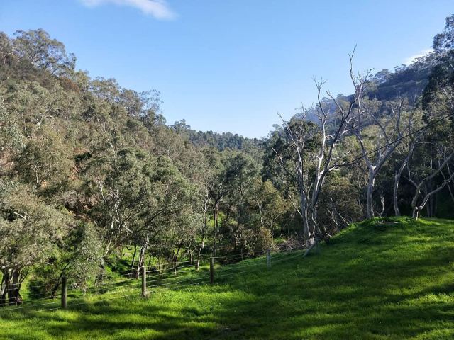 Cleland Conservation Park