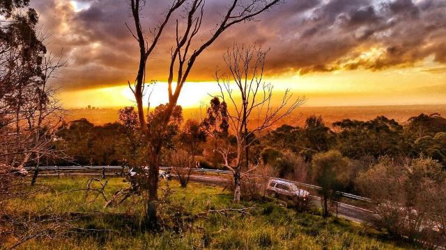 Cleland Conservation Park