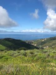 Aliso & Wood Canyons Wilderness Park