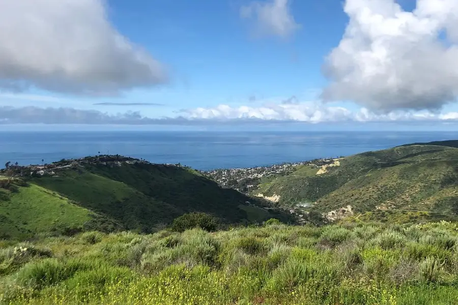 Aliso and Wood Canyons Wilderness Park