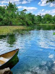 Wekiwa Springs State Park