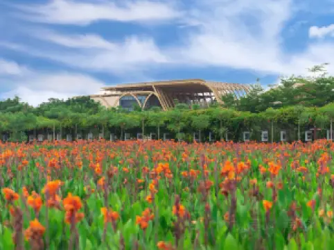 อุทยานแห่งชาติข้าว