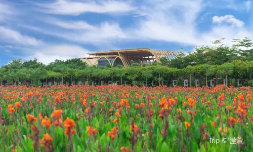 Paddy Field National Park