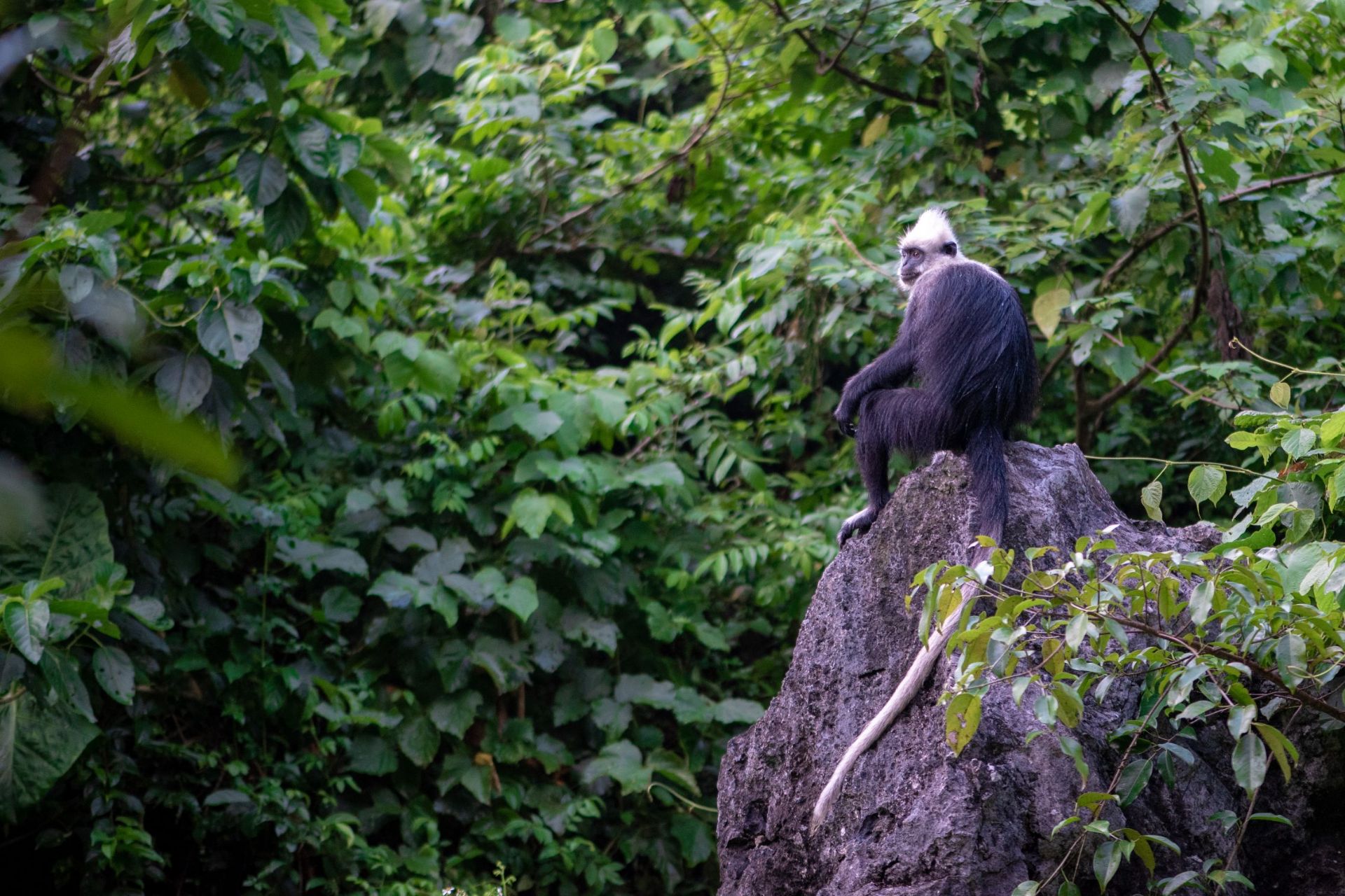 Chongzuo Travel Guide 2023 Things to Do, What To Eat & Tips