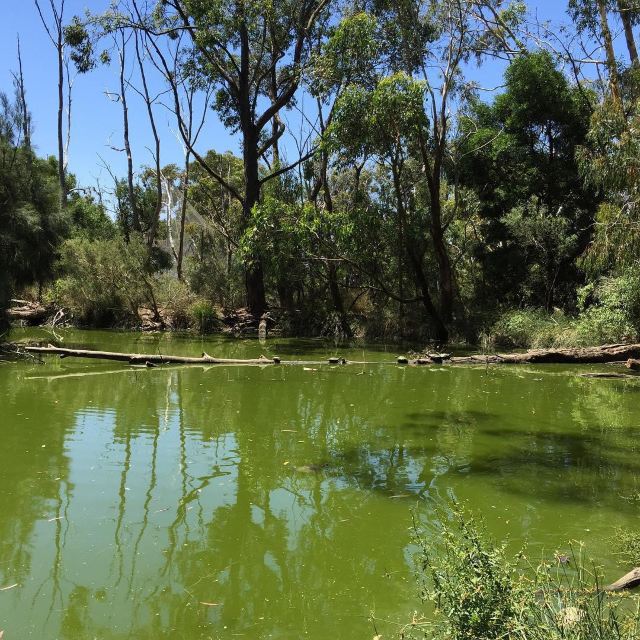 Cleland Conservation Park