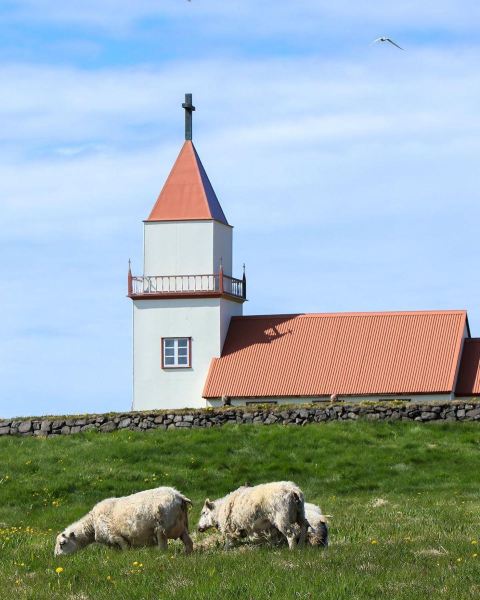 Vé máy bay Akureyri Grimsey