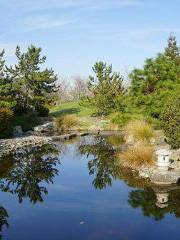 Miyazu Japanese Garden