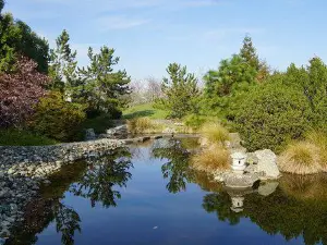 Miyazu Japanese Garden