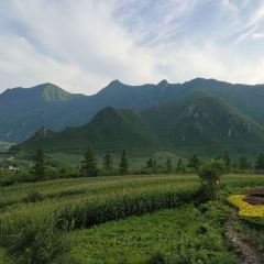 SHUN LU FAN DIAN User Photo