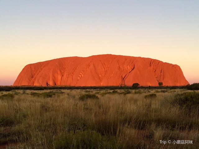 Uluru Car Sunset Viewing Area