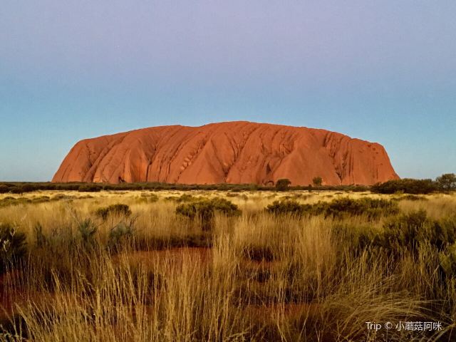 Uluru Car Sunset Viewing Area