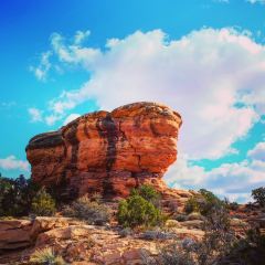 Moab Diner User Photo
