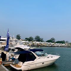Black Angus Bar & Grill 여행 사진